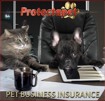 Protectapet Pet Business insurance